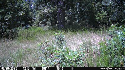 PICT1206.JPG