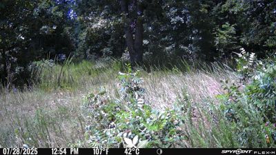 PICT1218.JPG