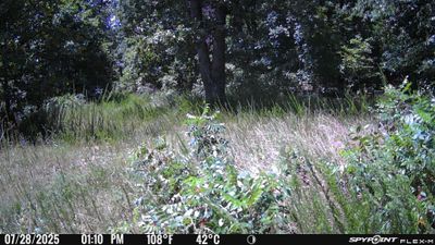 PICT1223.JPG