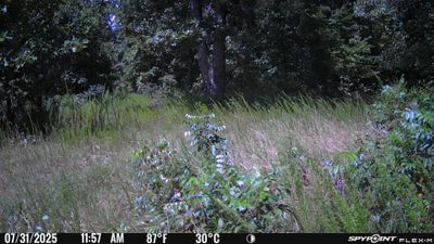 PICT1301.JPG