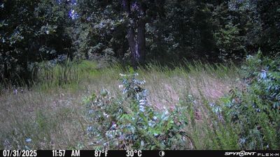 PICT1302.JPG