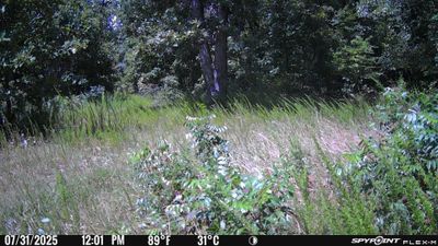 PICT1303.JPG