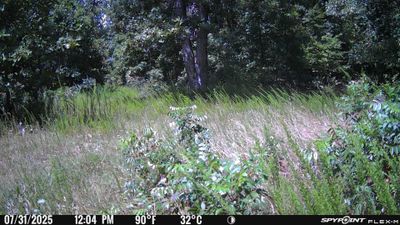 PICT1305.JPG
