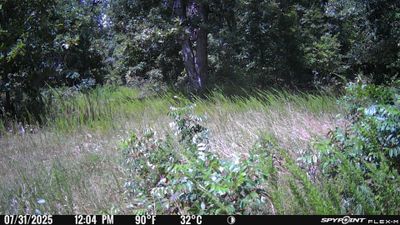 PICT1306.JPG
