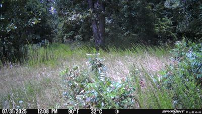 PICT1309.JPG