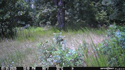 PICT1311.JPG