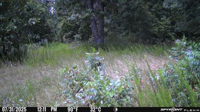 PICT1313.JPG