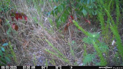 PICT1316.JPG