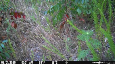PICT1317.JPG