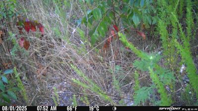 PICT1322.JPG