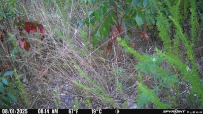 PICT1331.JPG