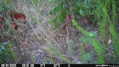 PICT1404.JPG