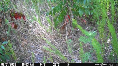 PICT1441.JPG