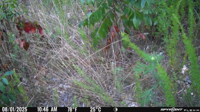 PICT1511.JPG