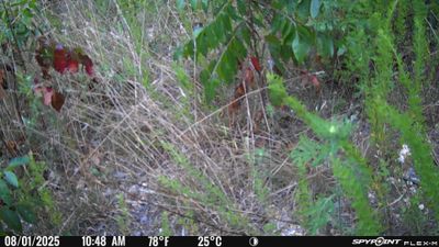 PICT1513.JPG