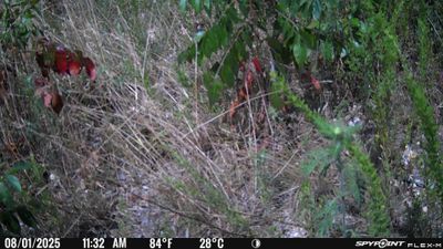 PICT1640.JPG