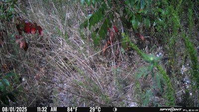 PICT1641.JPG