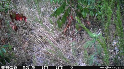 PICT1642.JPG