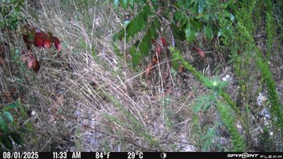 PICT1644.JPG