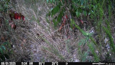 PICT1647.JPG