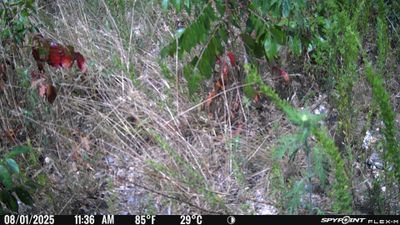 PICT1651.JPG