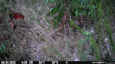 PICT1652.JPG