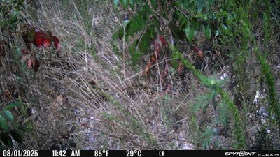 PICT1672.JPG