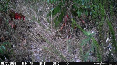PICT1681.JPG