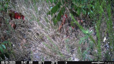 PICT1691.JPG