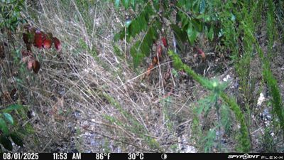 PICT1710.JPG