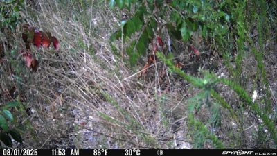 PICT1711.JPG
