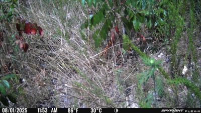 PICT1712.JPG