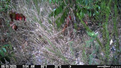 PICT1714.JPG