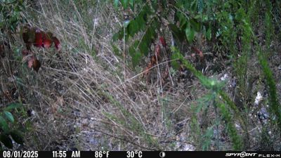 PICT1718.JPG