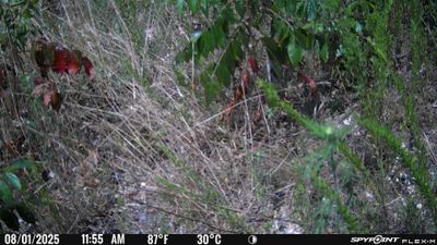 PICT1719.JPG