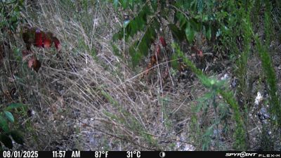 PICT1727.JPG