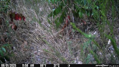 PICT1728.JPG