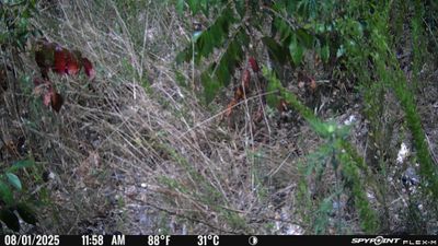 PICT1729.JPG