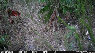 PICT1731.JPG