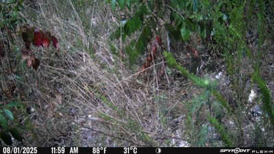 PICT1733.JPG