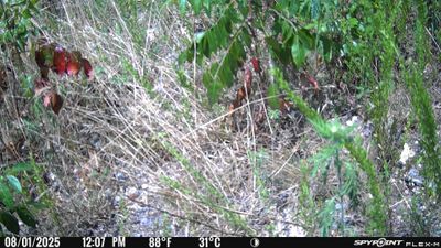 PICT1811.JPG
