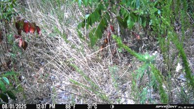 PICT1813.JPG