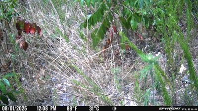 PICT1828.JPG