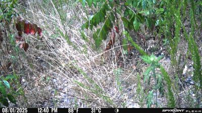 PICT2191.JPG
