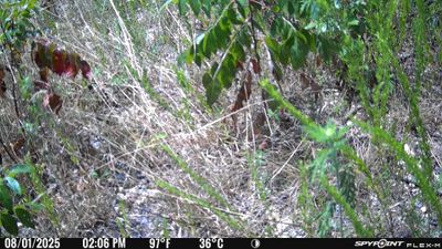 PICT2714.JPG