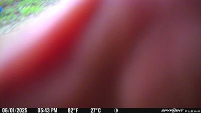 PICT0002.JPG
