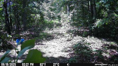 PICT1131.JPG