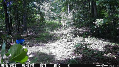 PICT1171.JPG