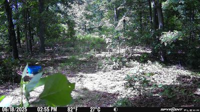 PICT1193.JPG