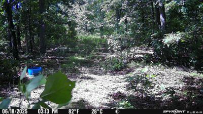 PICT1241.JPG